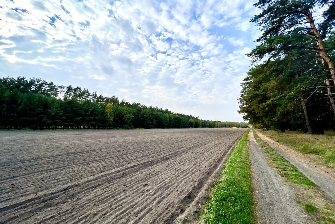 działka budowlana Dąbrówka Wielkopolska