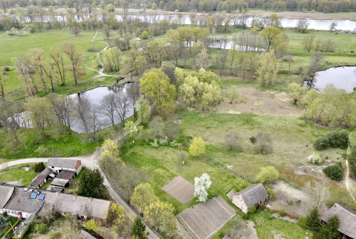 dom w Tarnawie na sprzedaż
