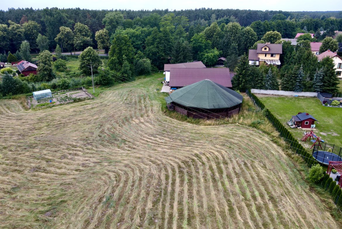 stadnina koni w Ołoboku