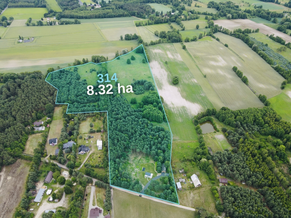 Duża Działka Nowy Tomyśl – 8 Ha Natury, Nowoczesny Dom i Nieograniczone Możliwości