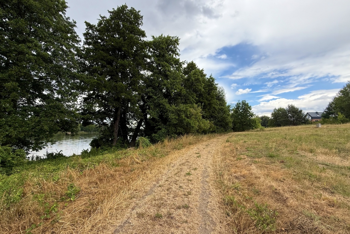 Działka nad jeziorem Wysoka – wyjątkowa nieruchomość w gminie Międzyrzecz