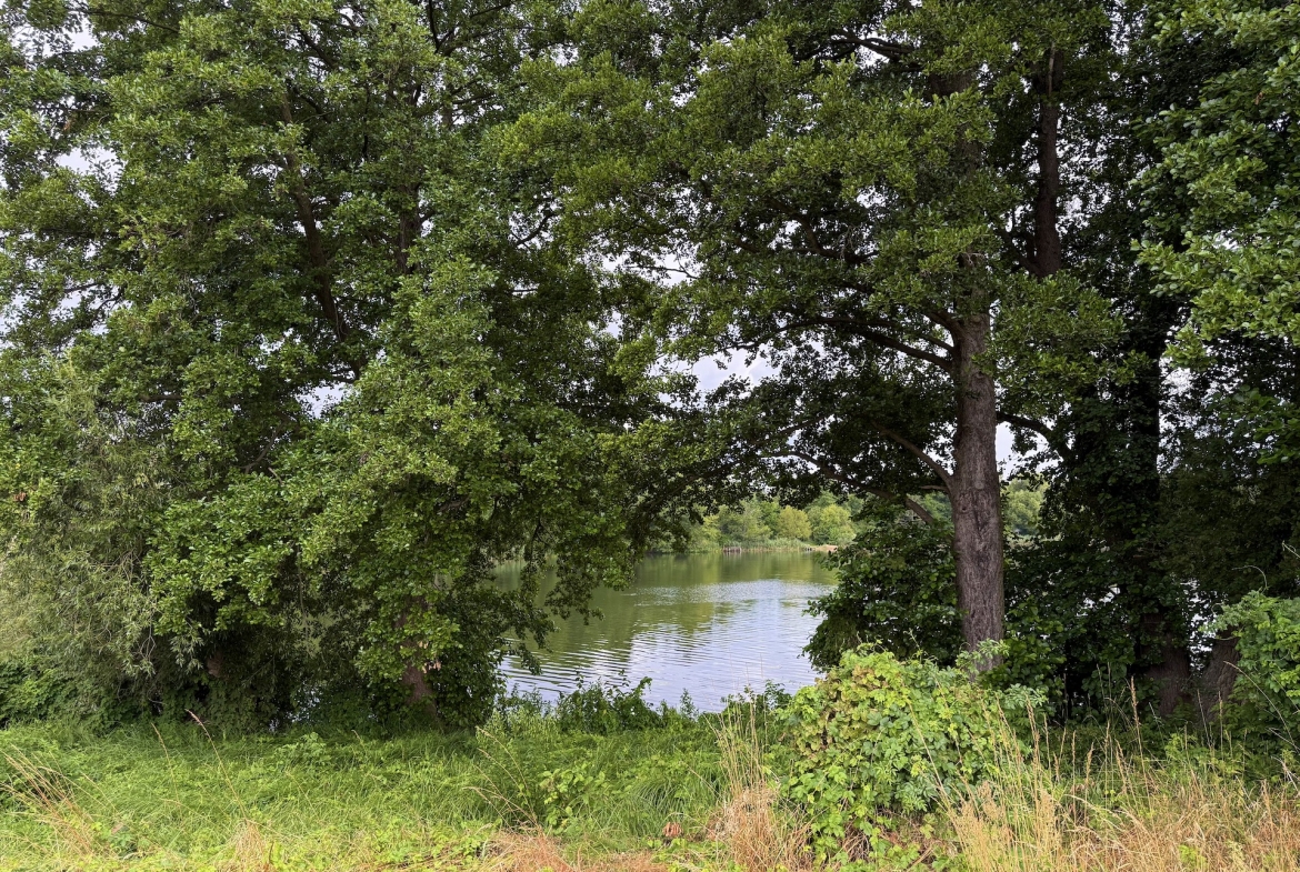 Działka nad jeziorem Wysoka – wyjątkowa nieruchomość w gminie Międzyrzecz