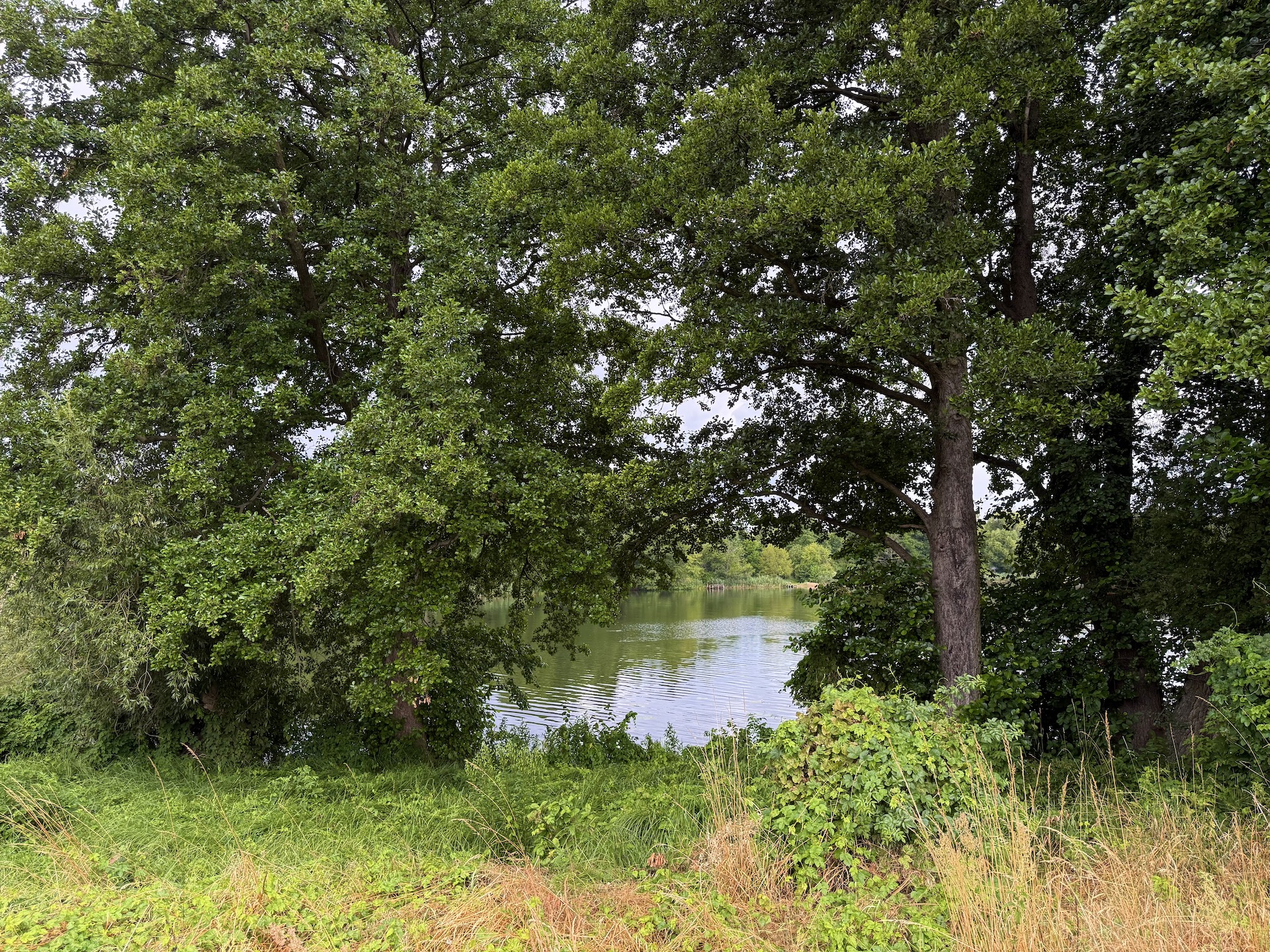 Działka nad jeziorem Wysoka – wyjątkowa nieruchomość w gminie Międzyrzecz