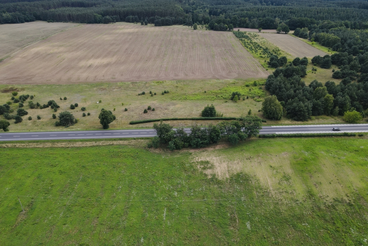 działka inwestycyjna Torzym