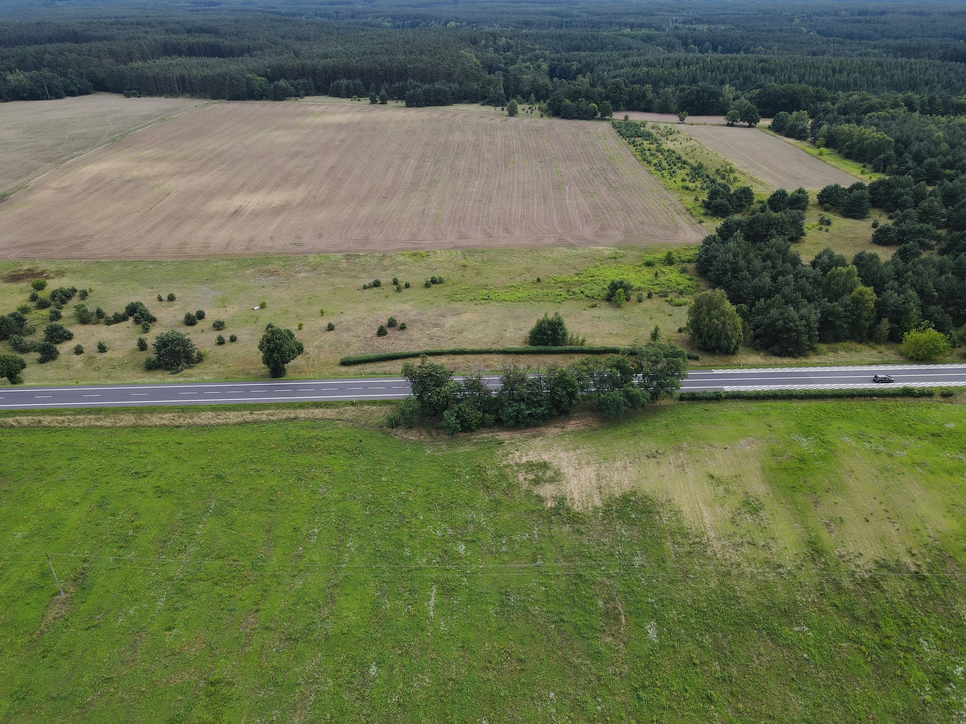 działka inwestycyjna Torzym