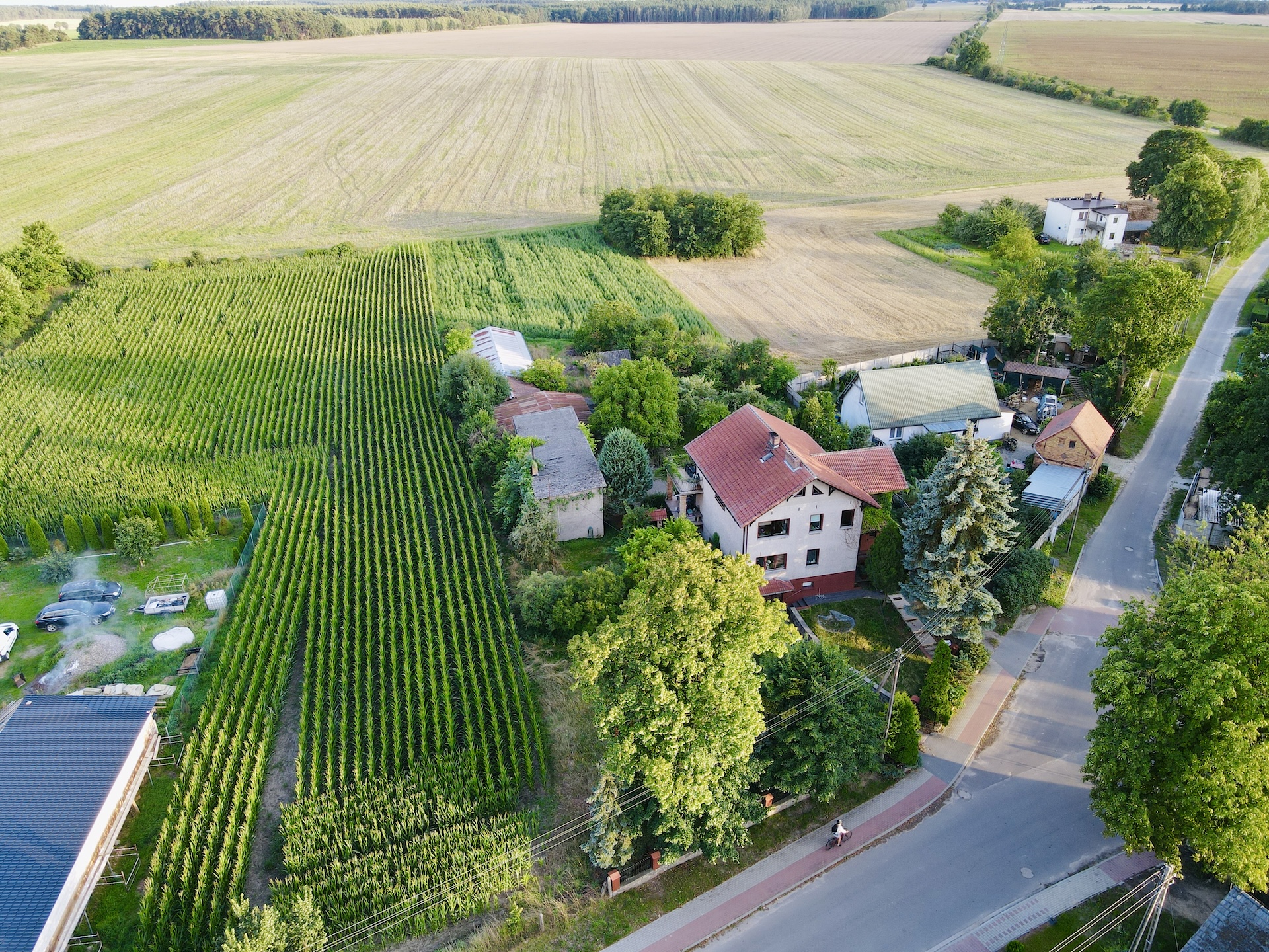 dom w Ojerzycach na sprzedaż